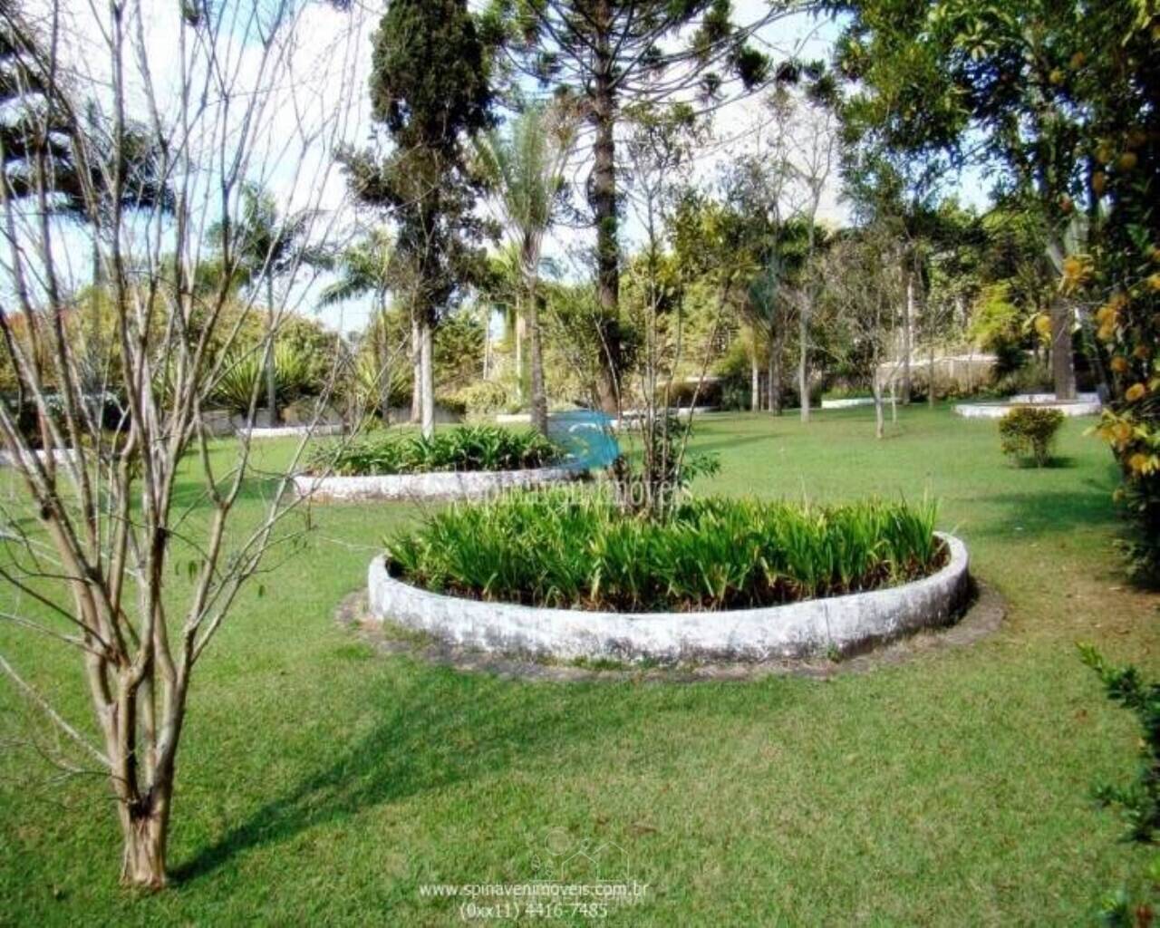 Terreno - Foto 6