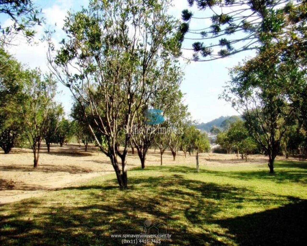 Terreno - Foto 35