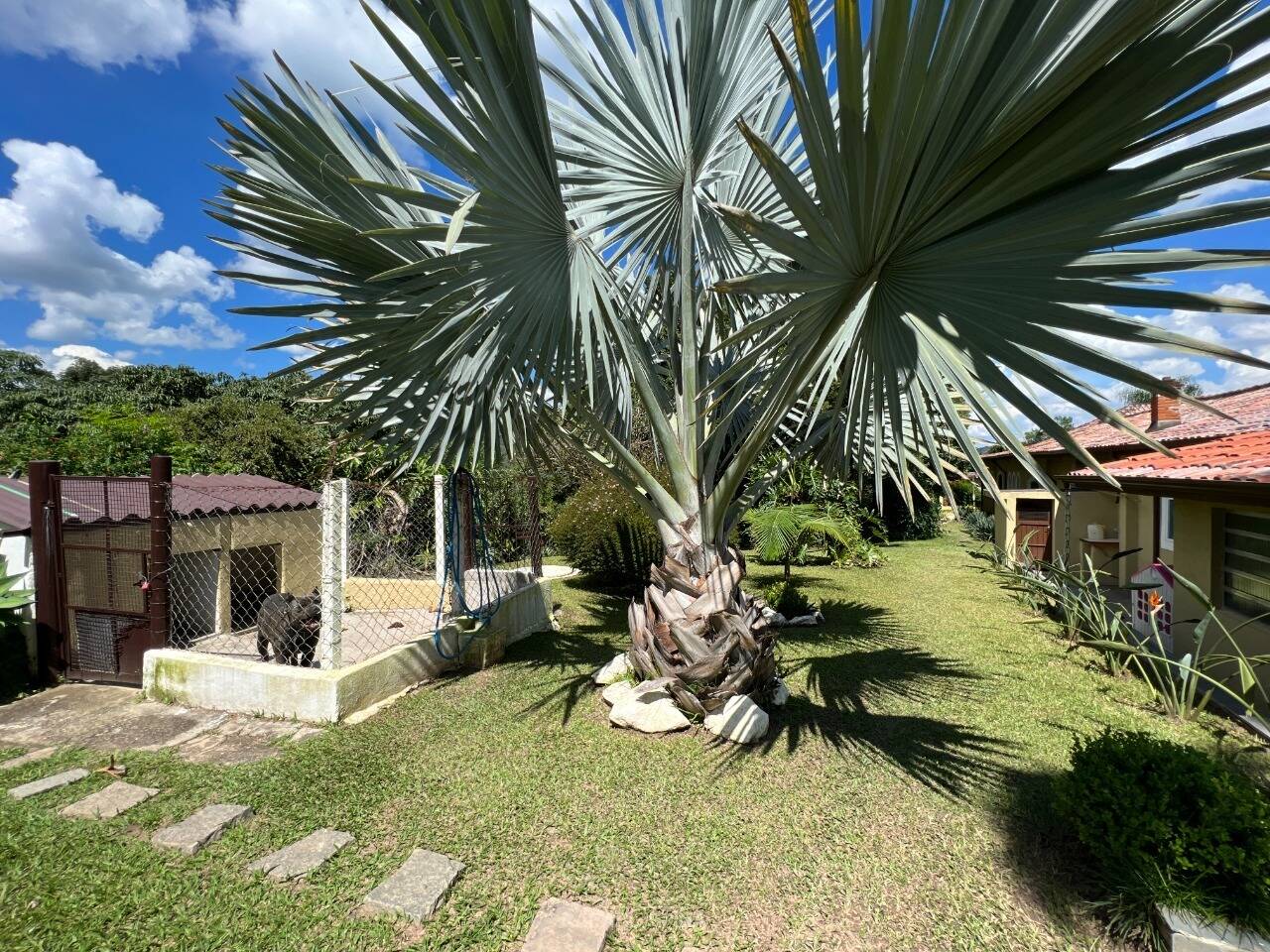Terreno - Foto 24