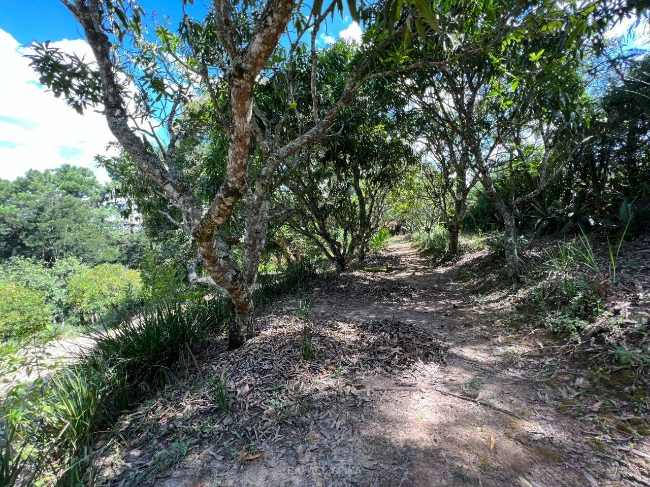 Terreno - Foto 40