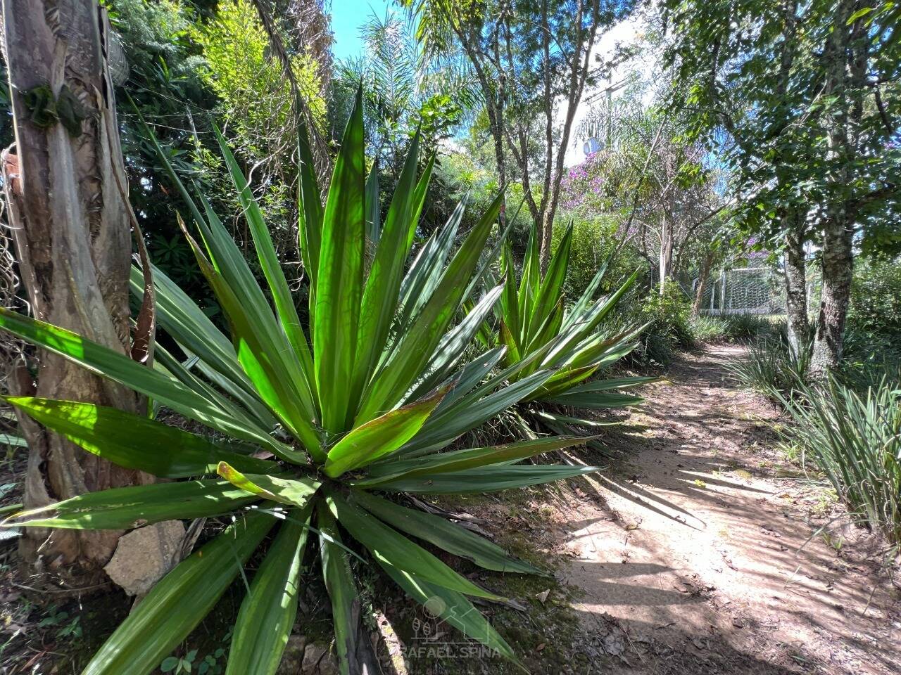 Terreno - Foto 41