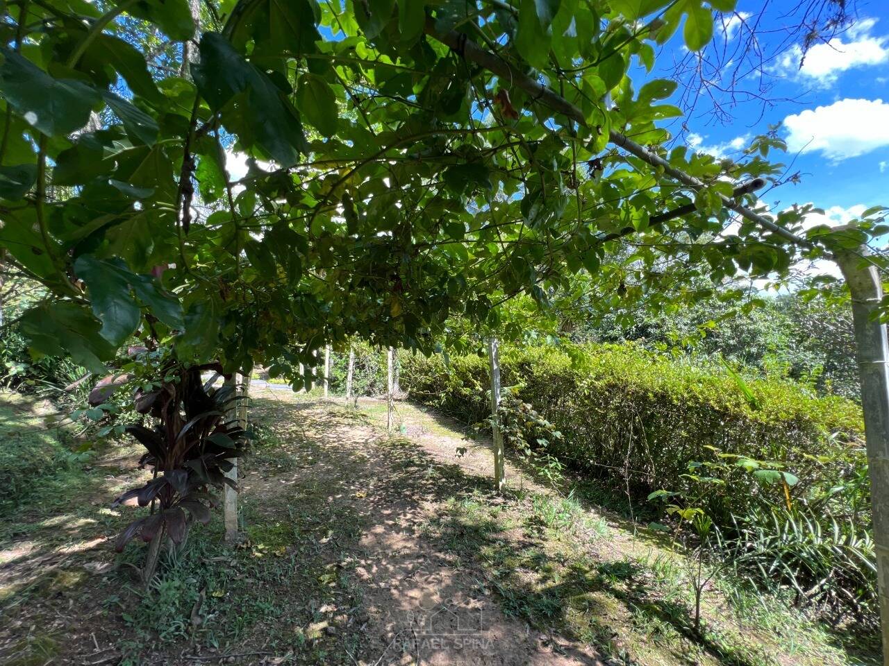 Terreno - Foto 50