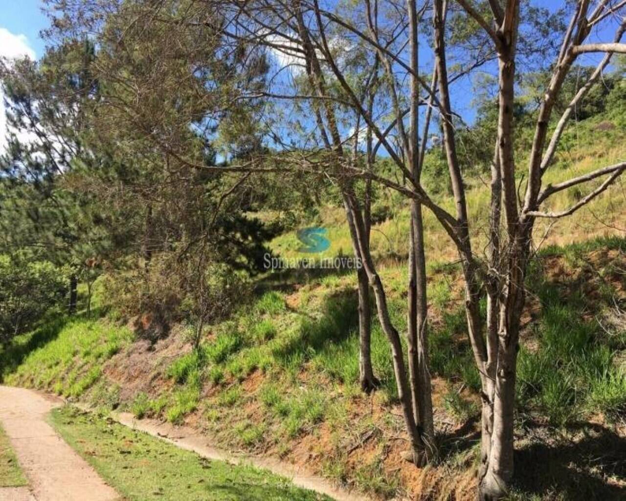 Terreno - Foto 1