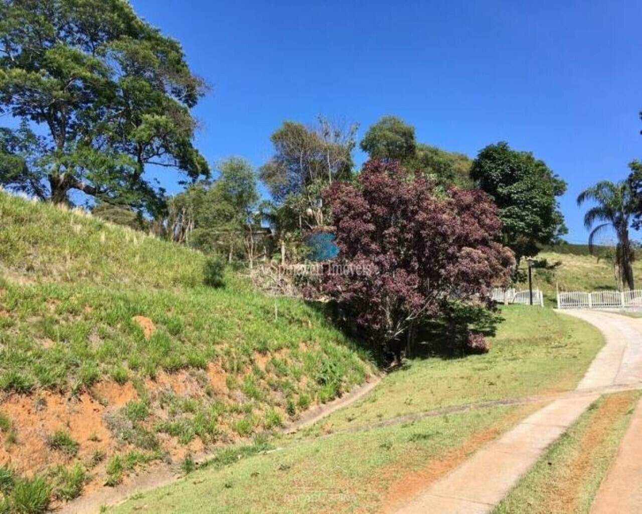 Terreno - Foto 3