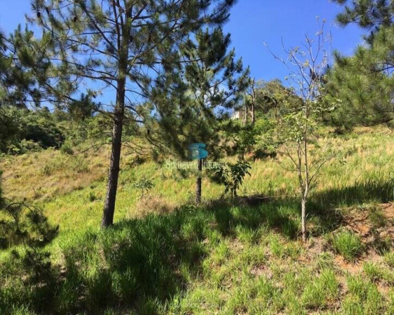 Terreno - Foto 4