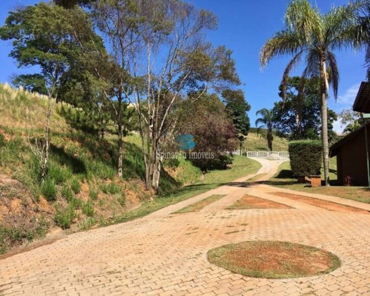 Terreno - Foto 6