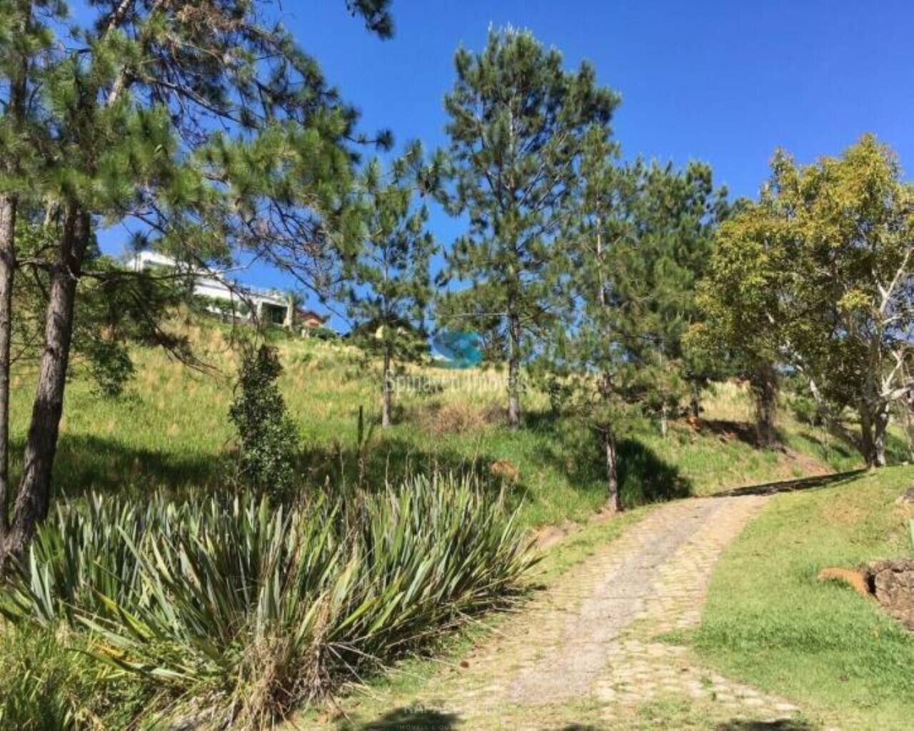 Terreno - Foto 8