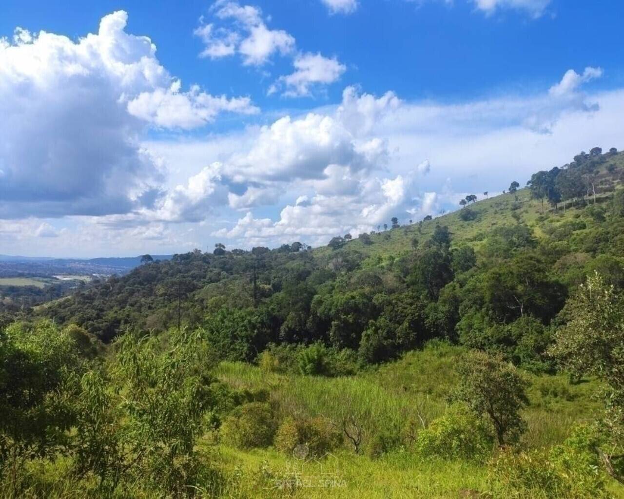 Terreno - Foto 9