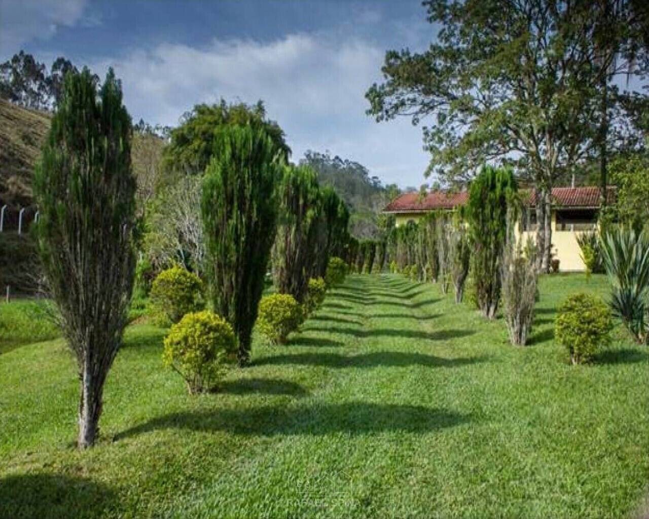 Terreno - Foto 10