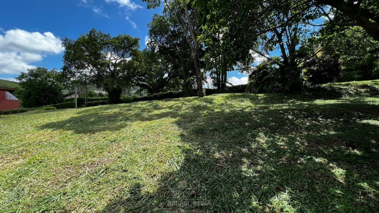 Terreno - Foto 3