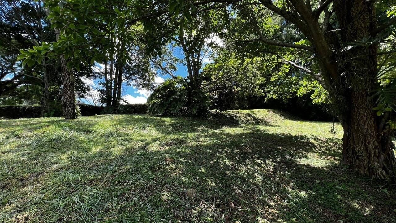 Terreno - Foto 4