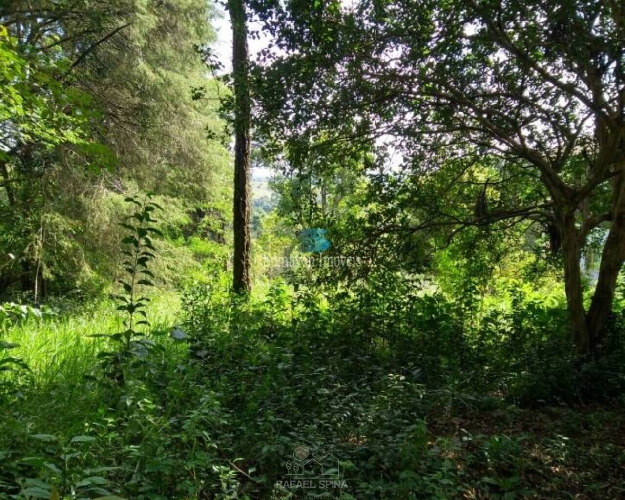 Casa - Foto 49