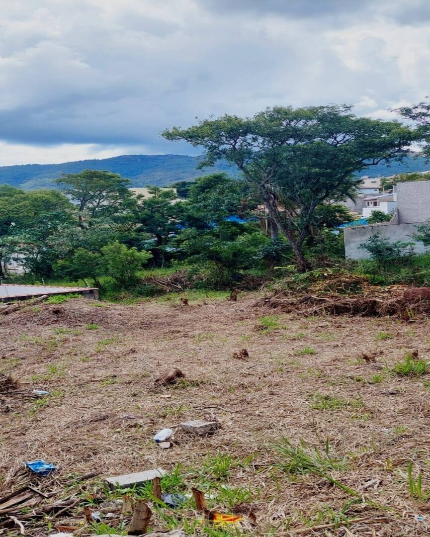 Terreno - Foto 4