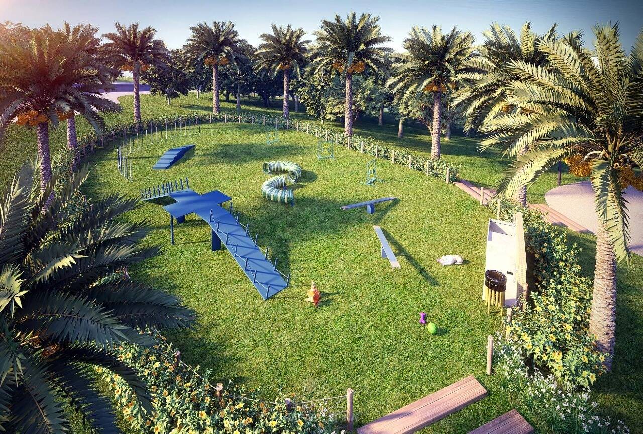 Terreno - Foto 14