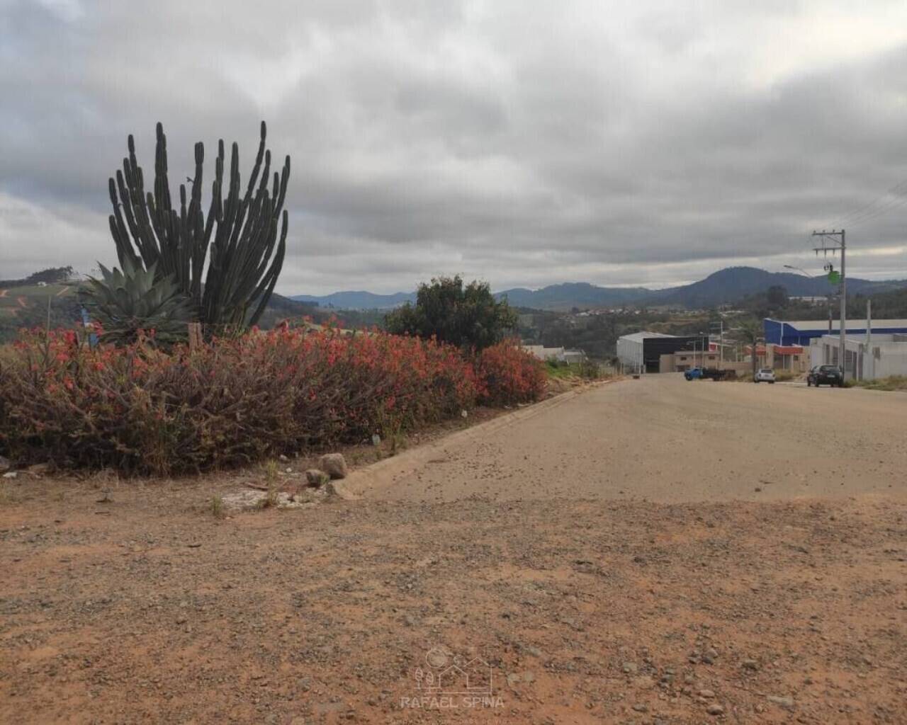 Terreno - Foto 4