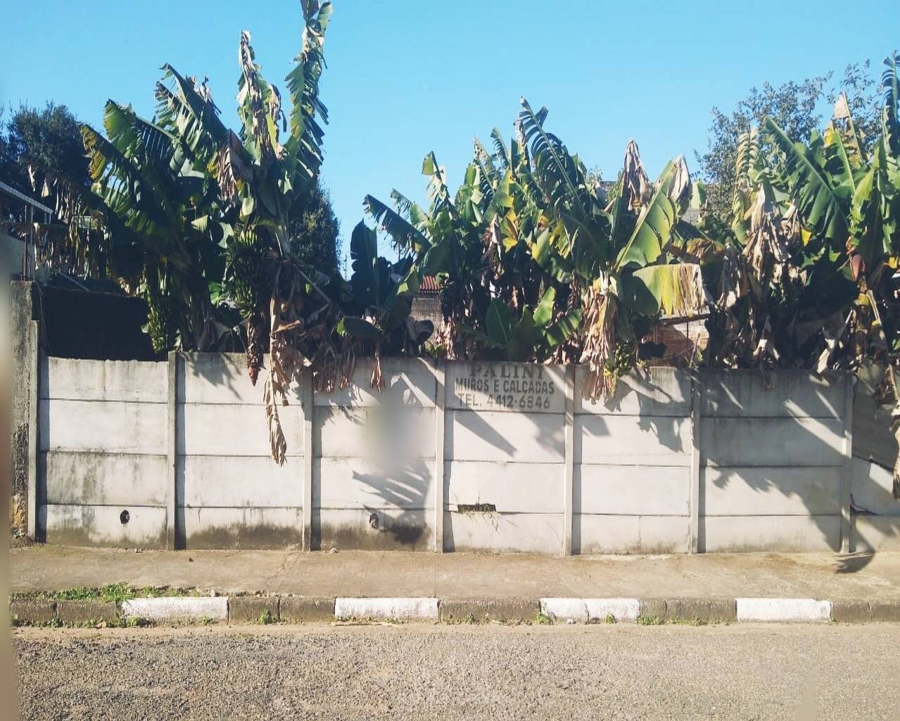 Terreno - Foto 1