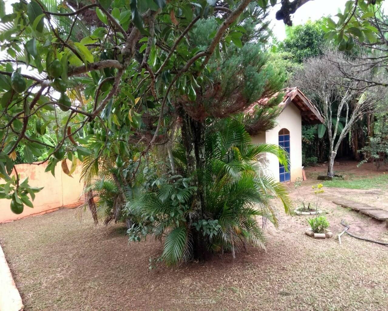 Terreno - Foto 24