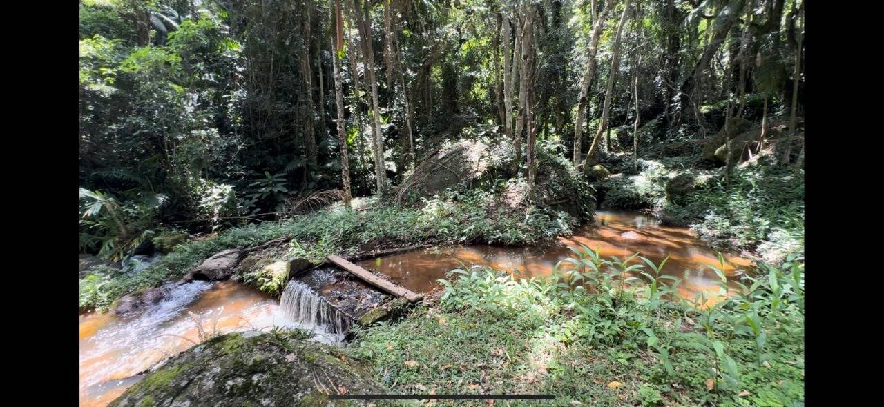 Sítio, 4 quartos, 2 hectares - Foto 46