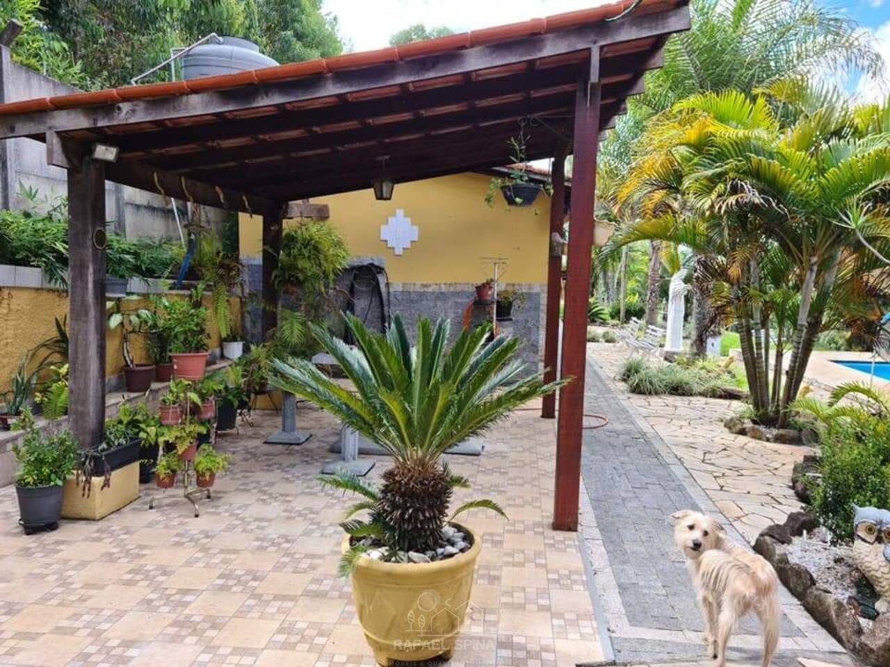 Terreno - Foto 13