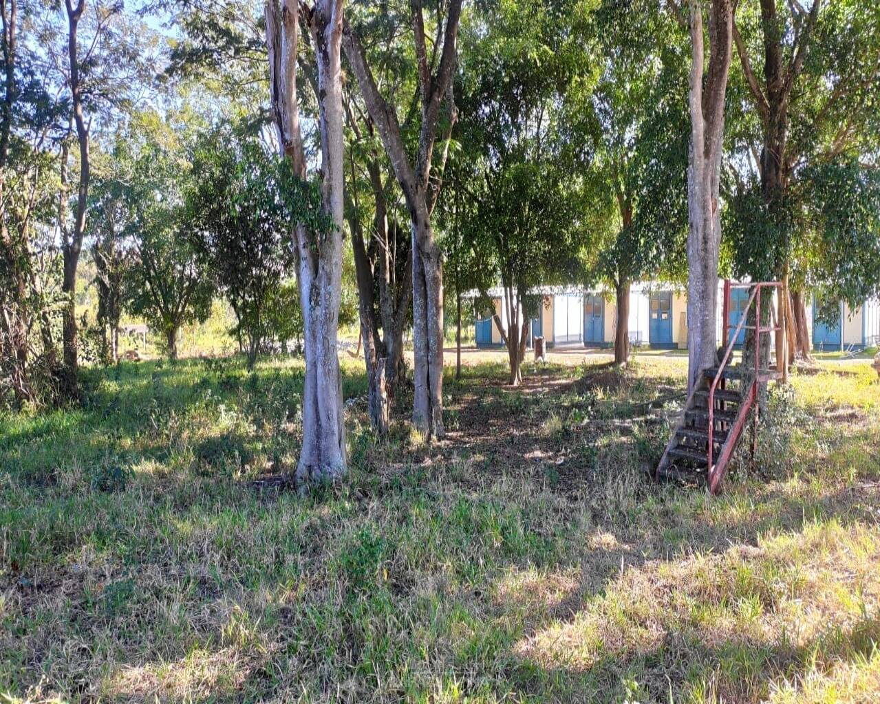 Terreno - Foto 12