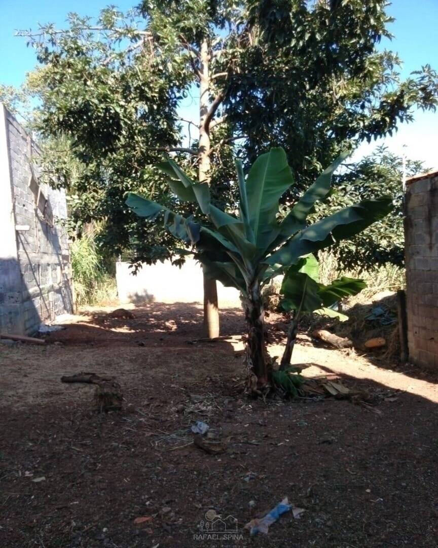 Terreno - Foto 5