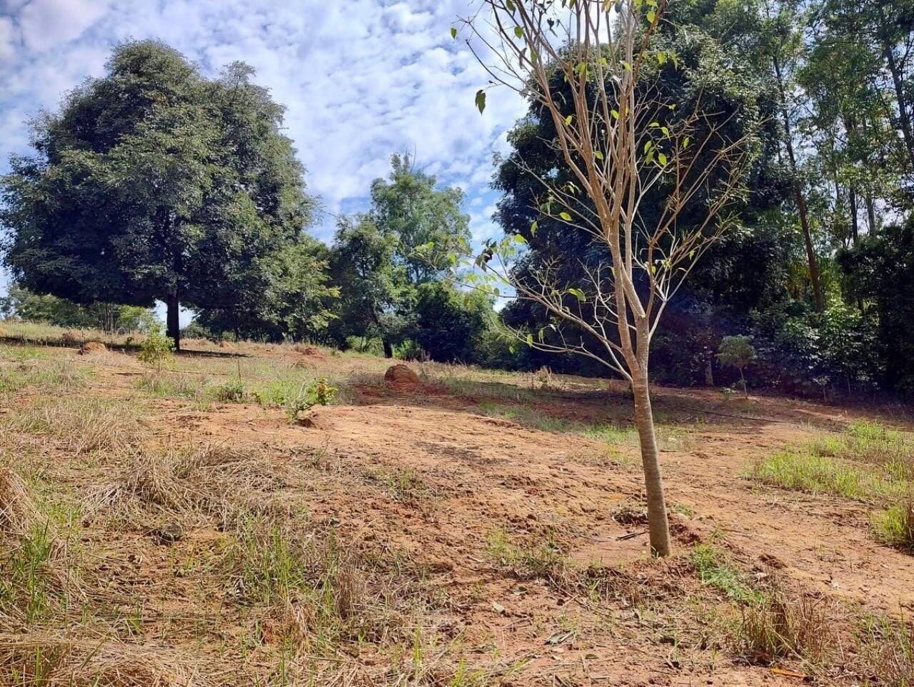 Terreno - Foto 4