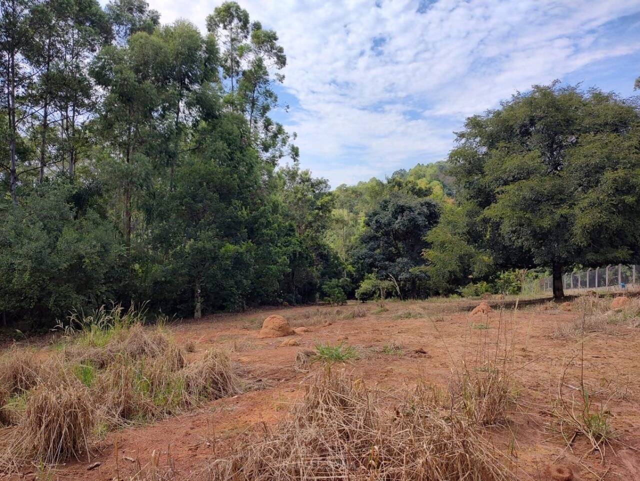 Terreno - Foto 6