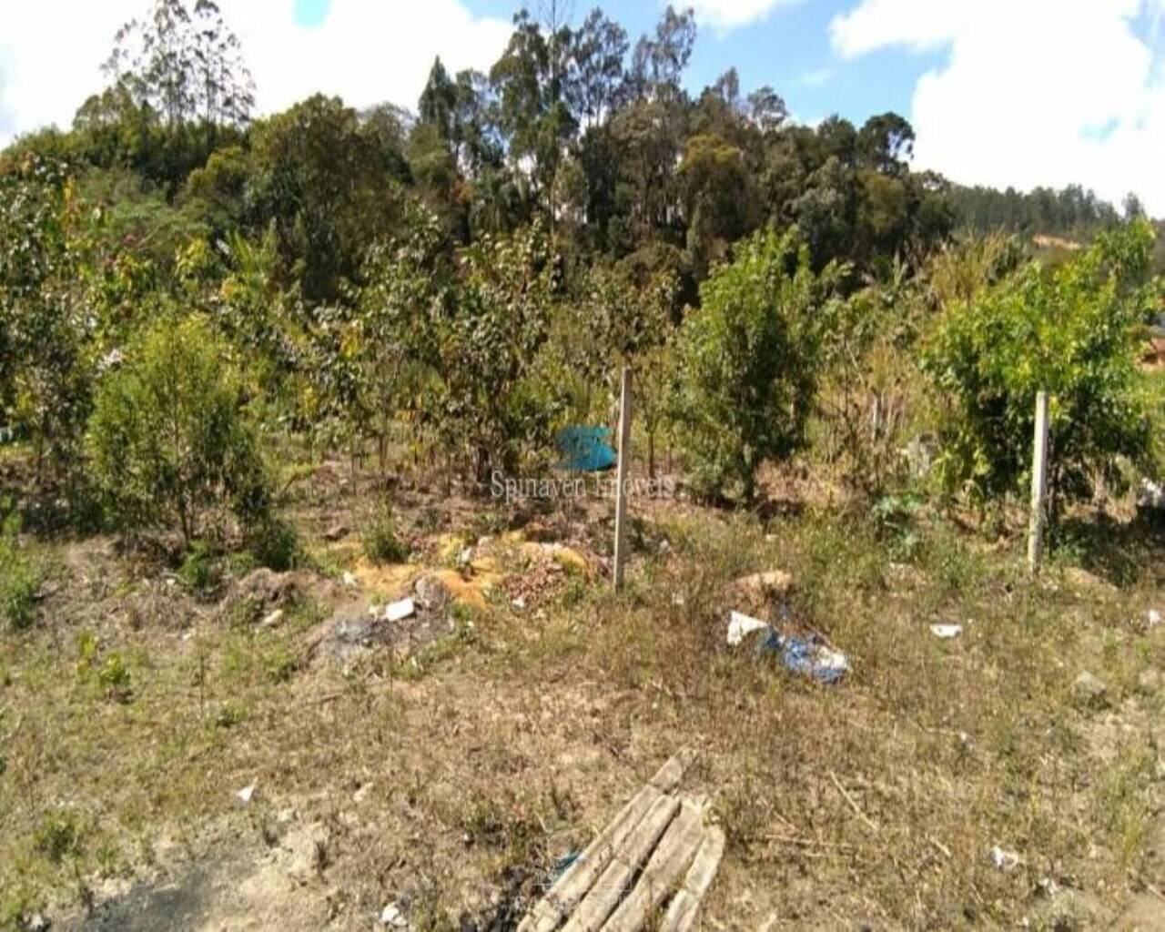Terreno - Foto 11