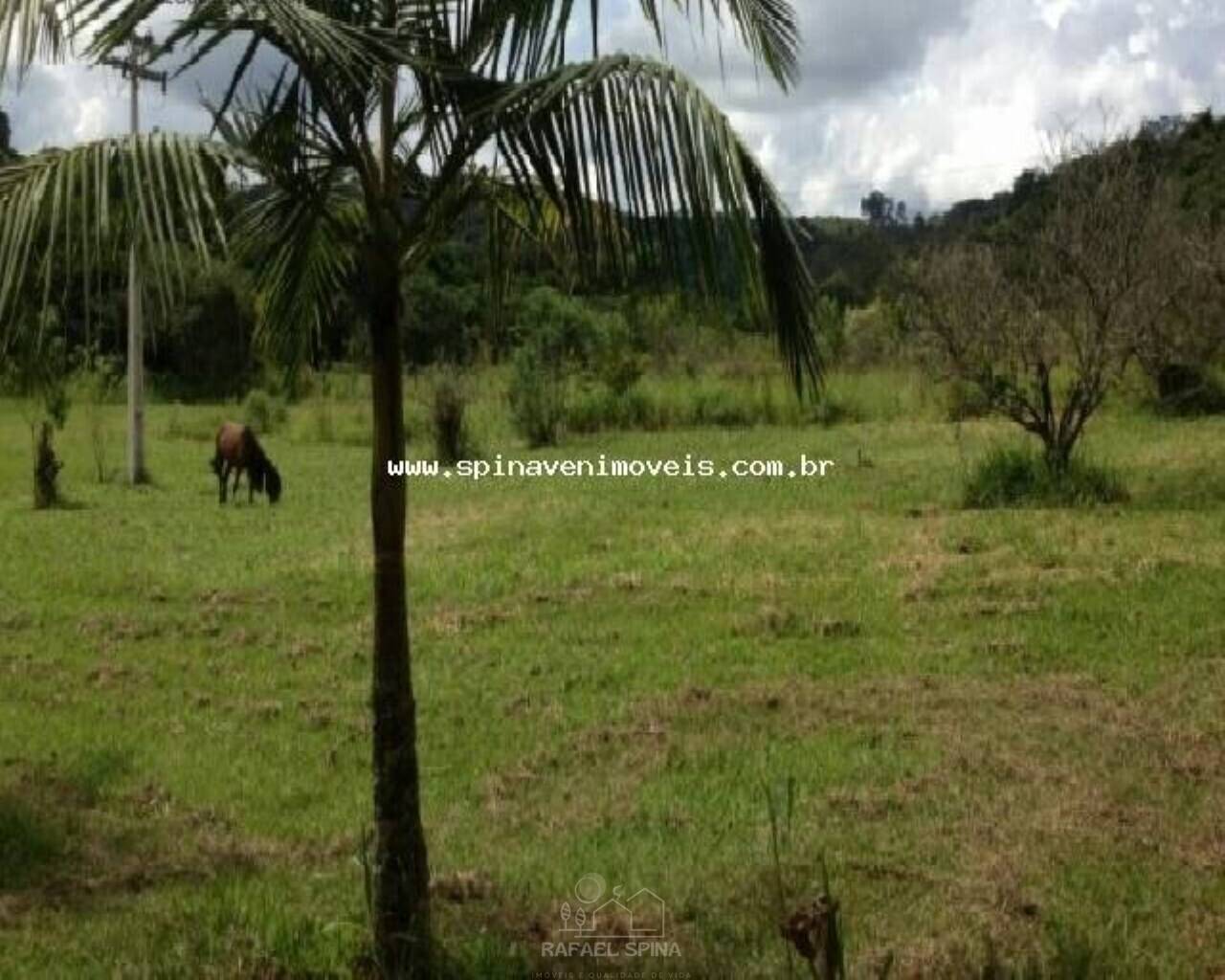 Depósito-Galpão - Foto 2