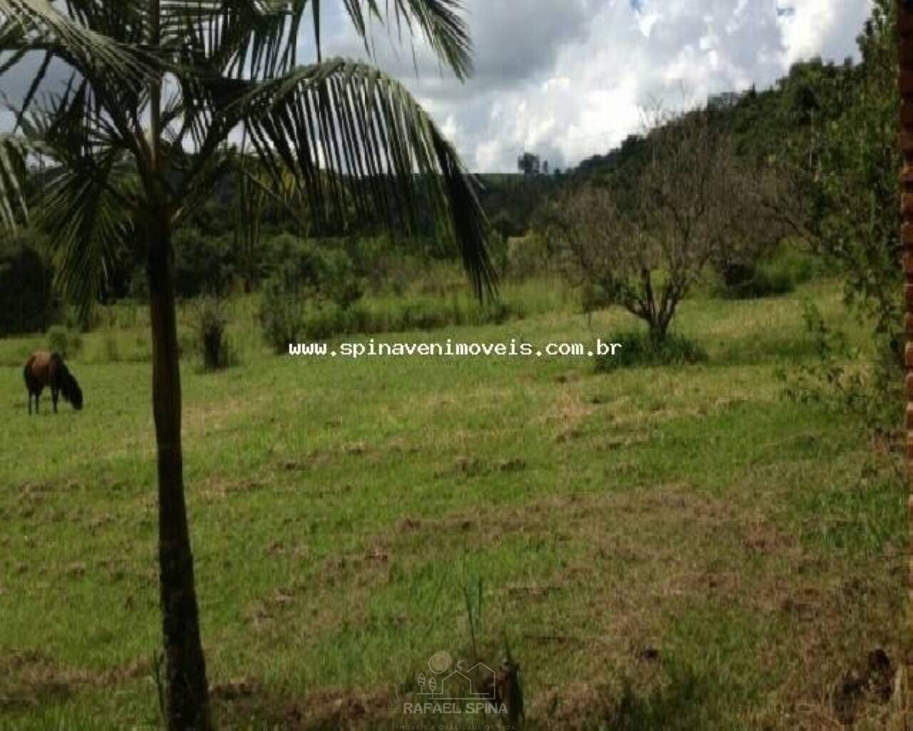Depósito-Galpão - Foto 3