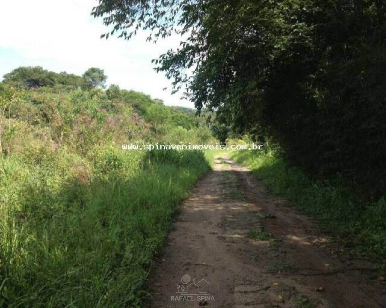 Depósito-Galpão - Foto 4