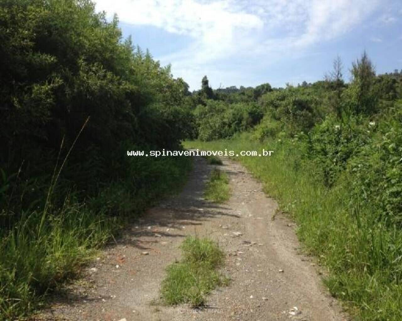 Depósito-Galpão - Foto 5