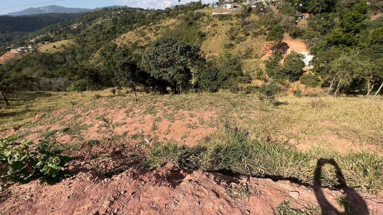 Terreno - Foto 6