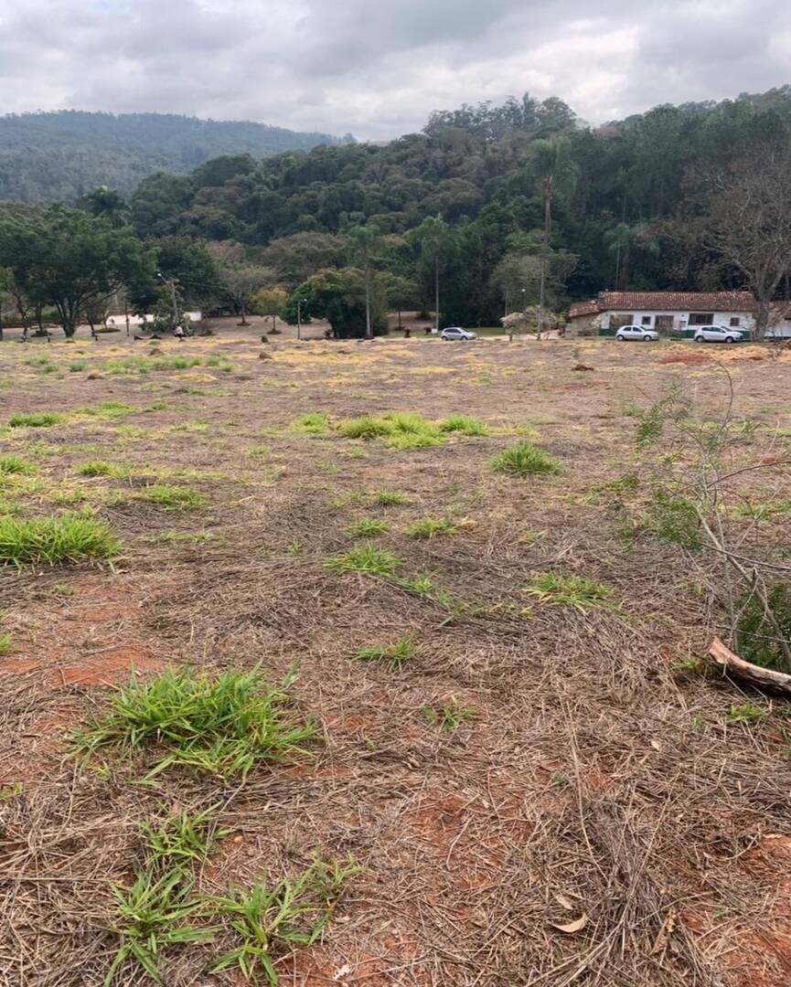 Terreno - Foto 2
