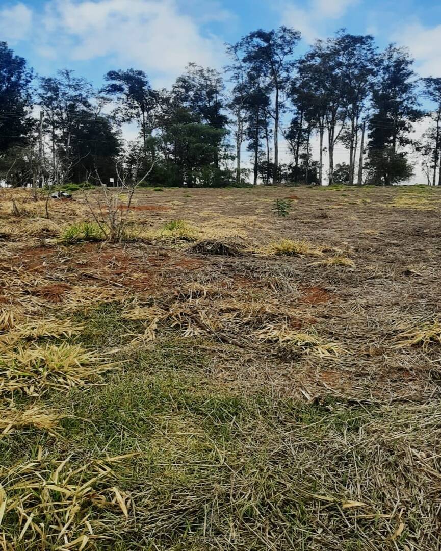 Terreno - Foto 3