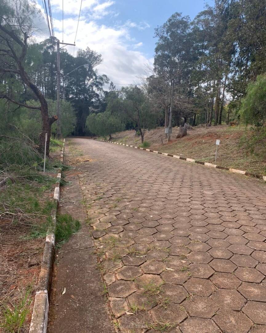 Terreno - Foto 5