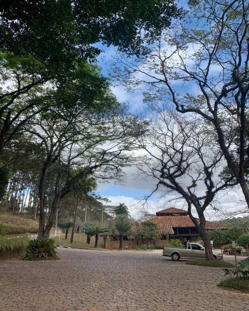 Terreno - Foto 6