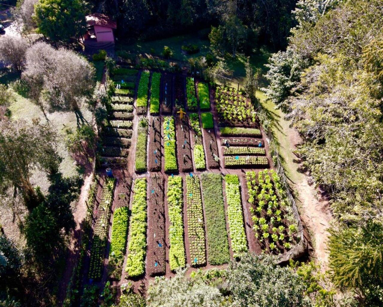Terreno - Foto 17