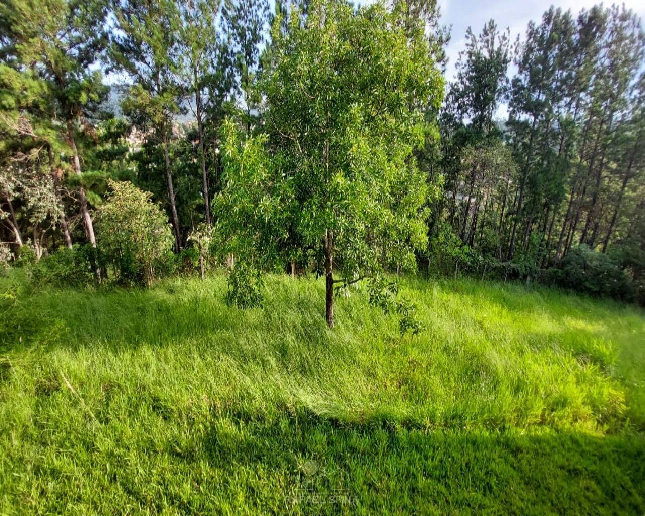 Terreno - Foto 23
