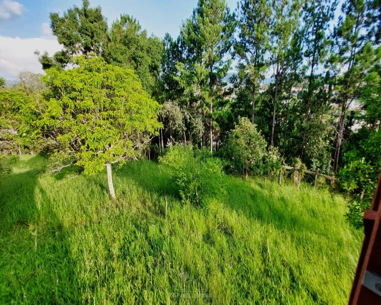 Terreno - Foto 32