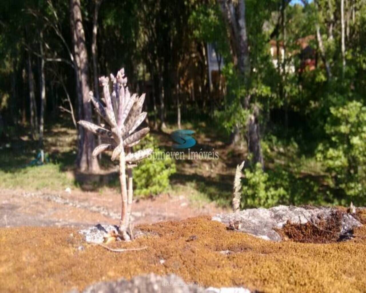 Casa de Condomínio - Foto 32