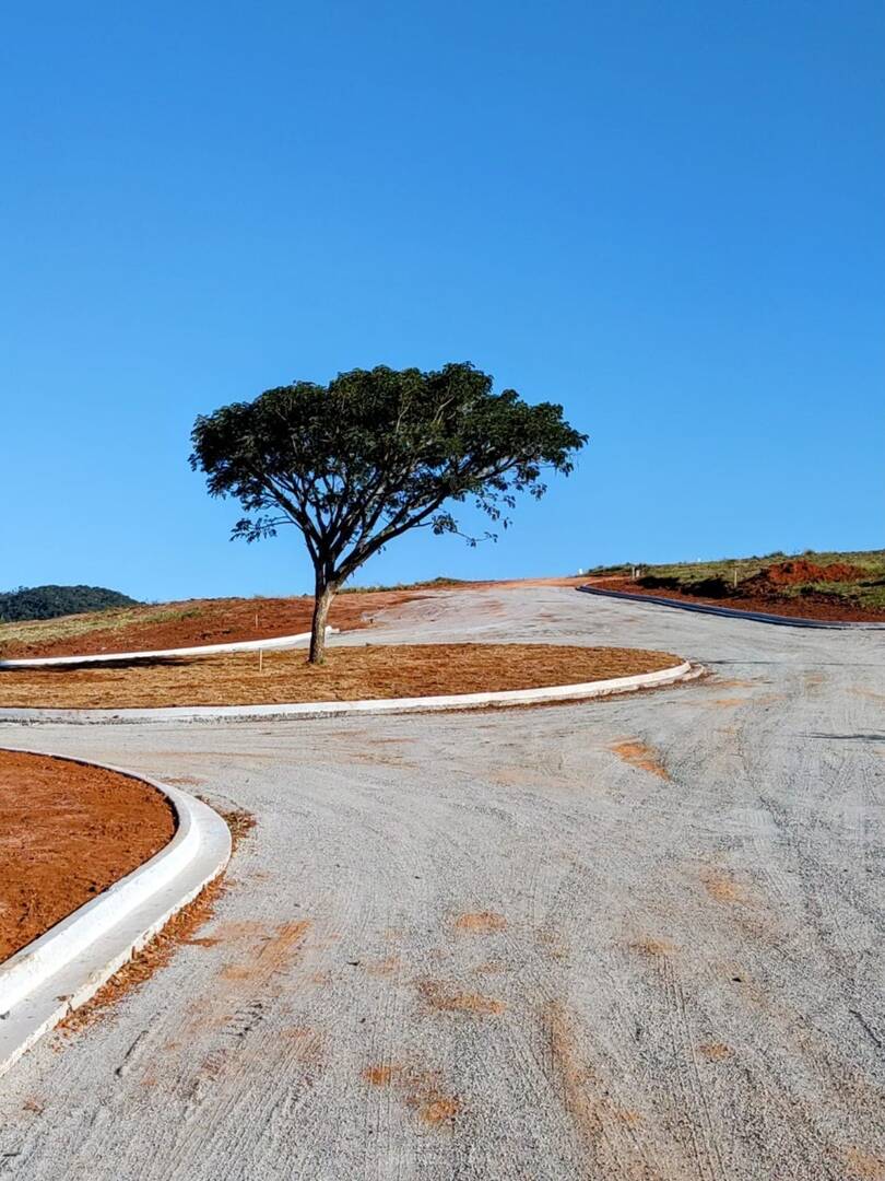 Terreno - Foto 3