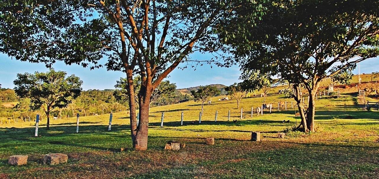 Terreno - Foto 41