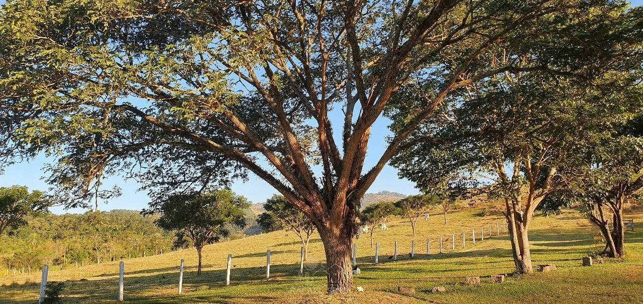 Terreno - Foto 46