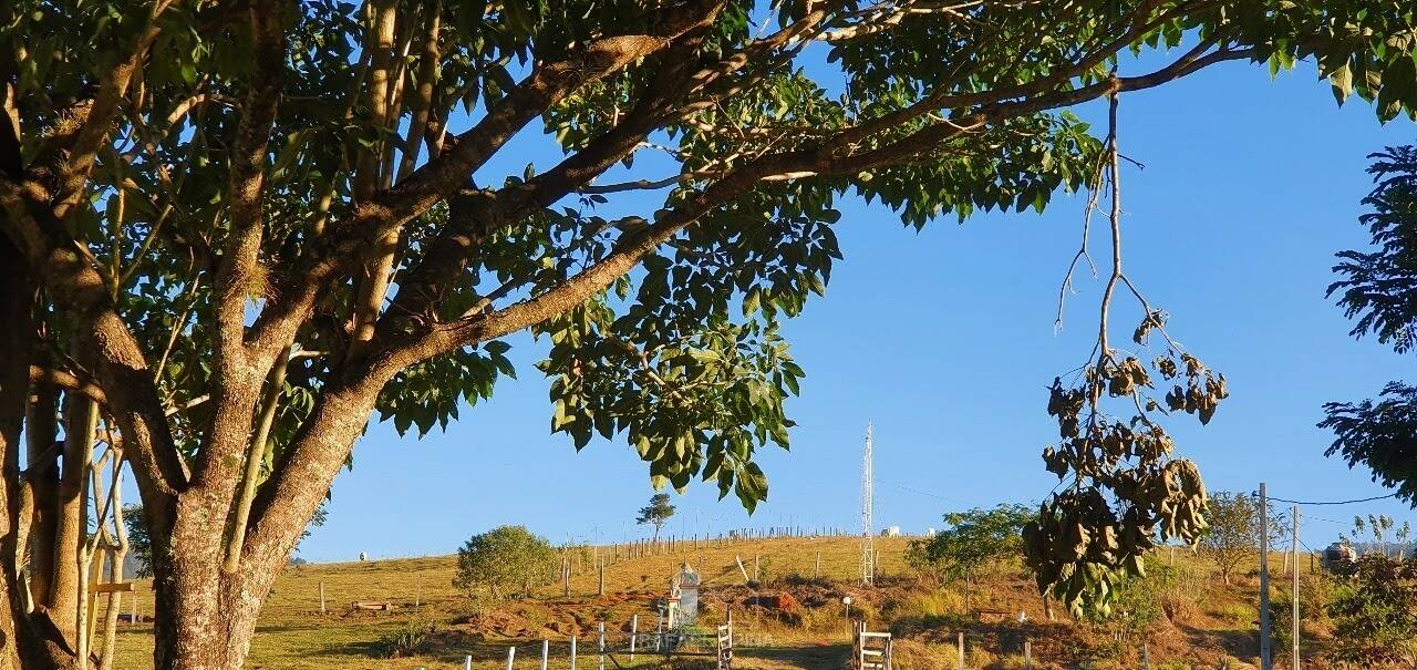 Terreno - Foto 49