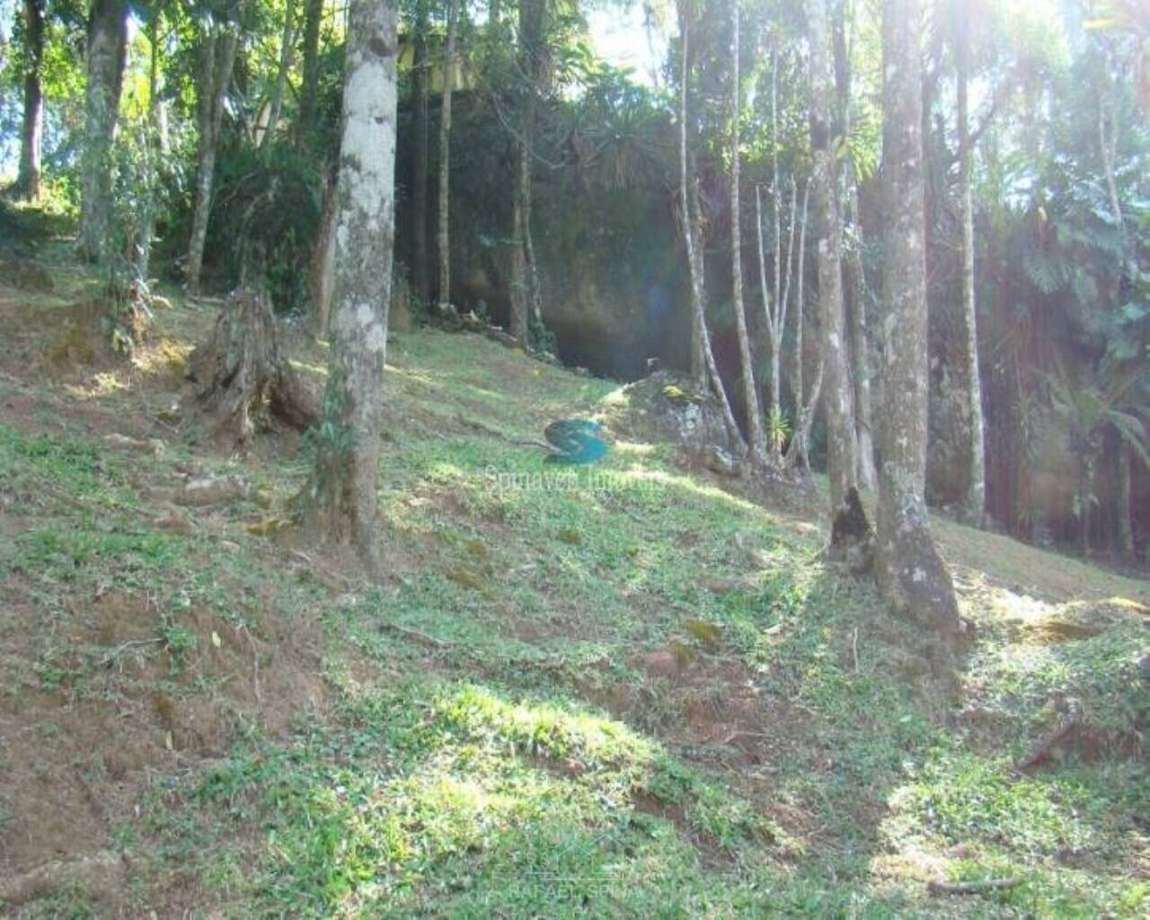 Casa de Condomínio - Foto 31