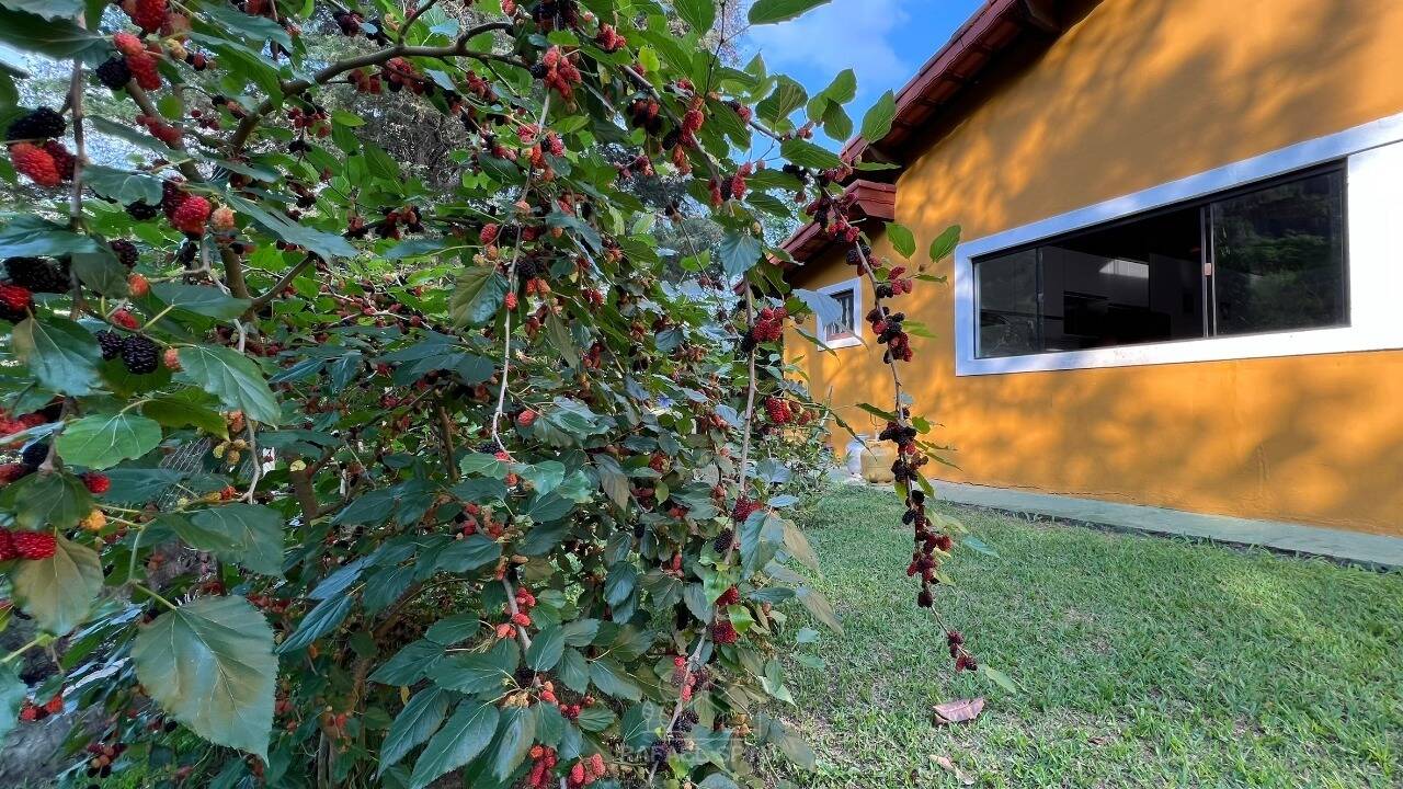 Sítio, 4 quartos, 1600 m² - Foto 11