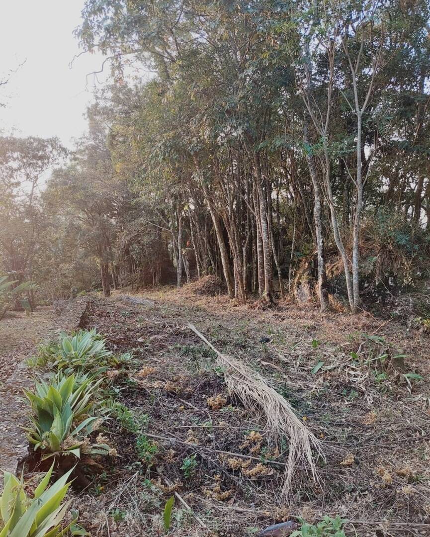 Terreno - Foto 2