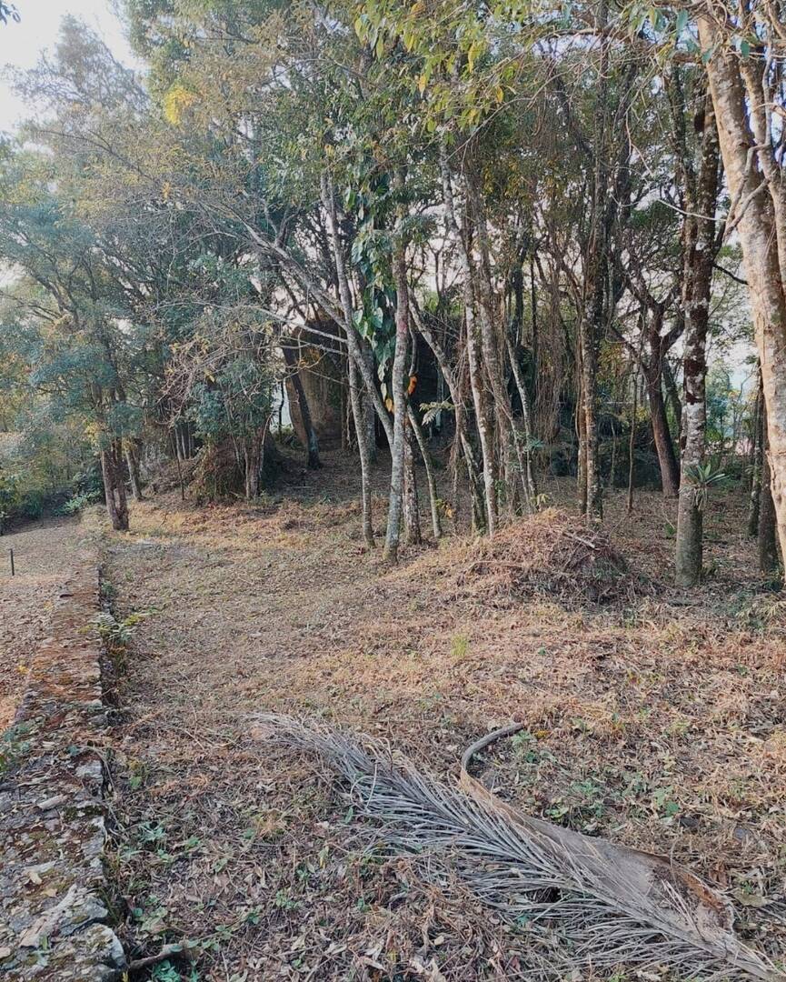 Terreno - Foto 3
