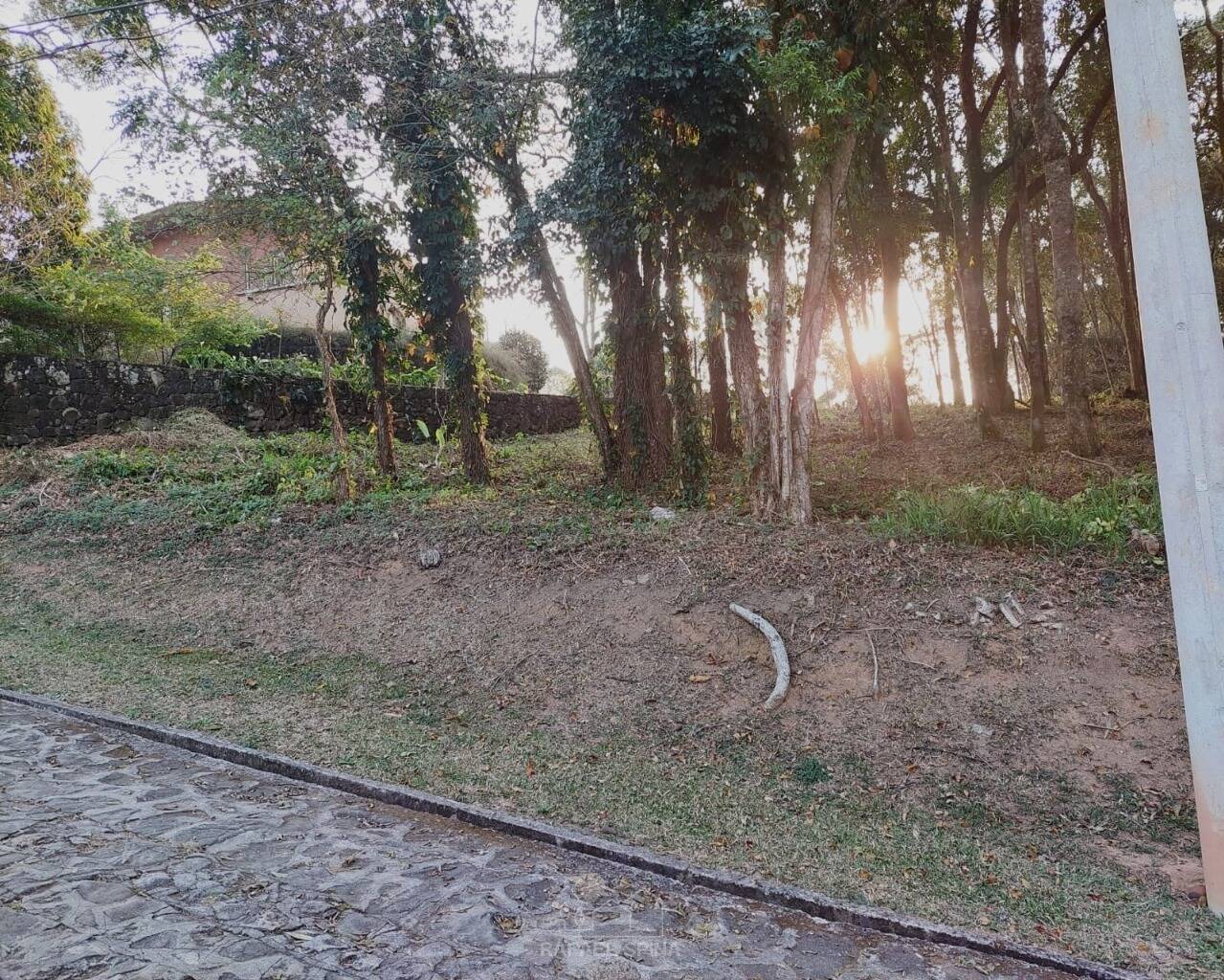 Terreno - Foto 5